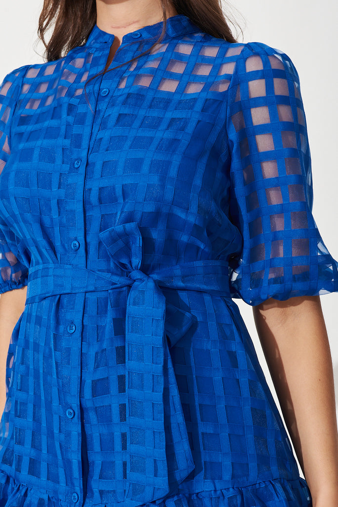 Giuliette Dress In Cobalt Blue Organza - detail