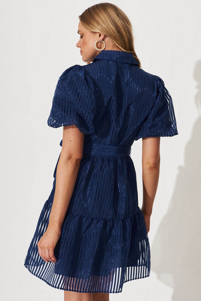 Whitney Shirt Dress In Navy Stripe Organza - back