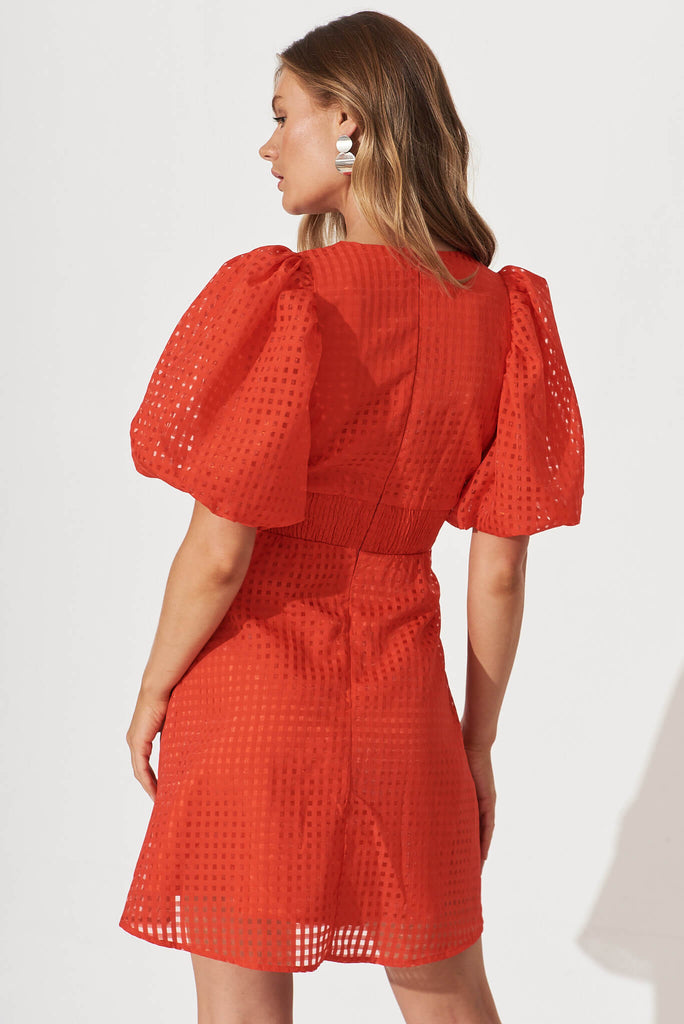 Leona Dress In Red Organza - back