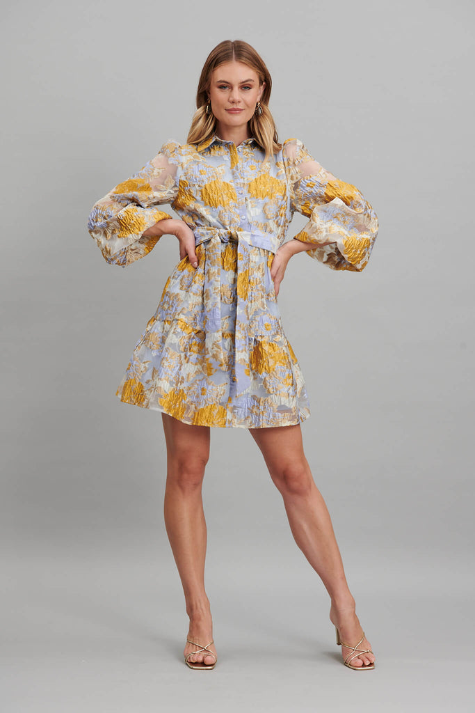 Fionelli Shirt Dress In Blue And Gold Floral Organza - full length