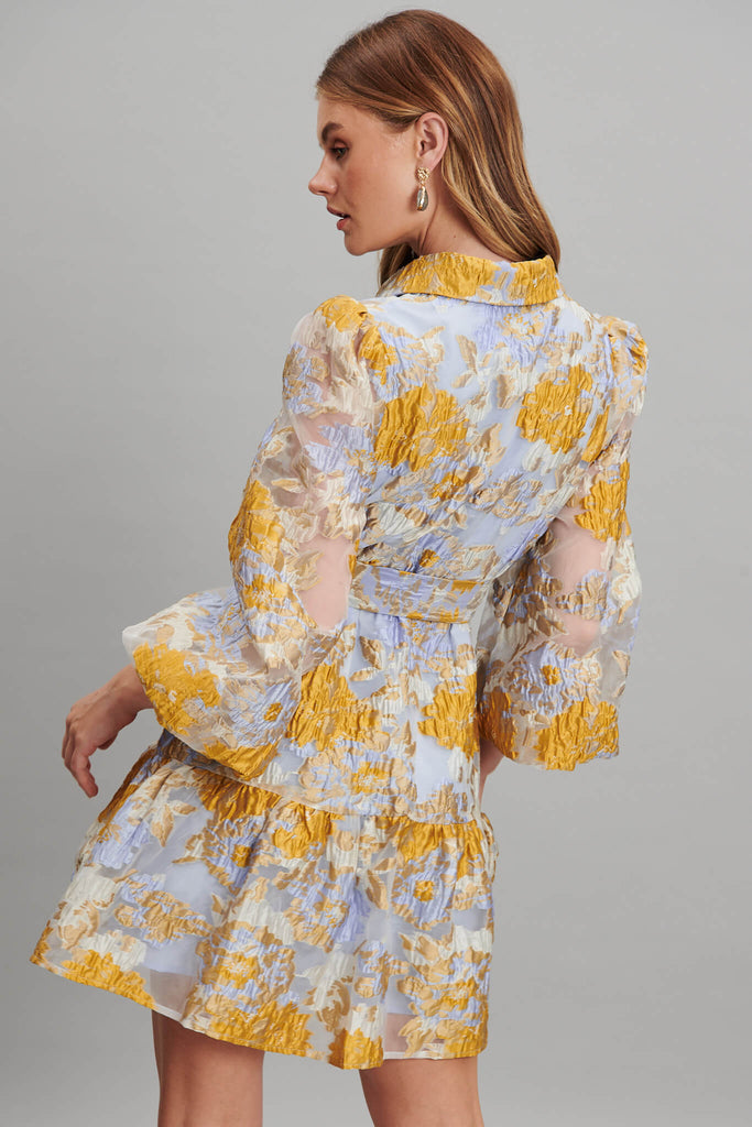 Fionelli Shirt Dress In Blue And Gold Floral Organza - back