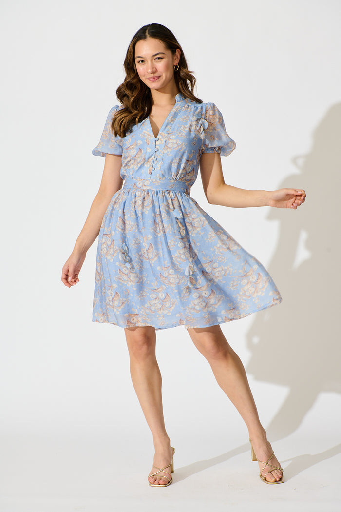 Vintage Bloom Dress in Blue Floral full length