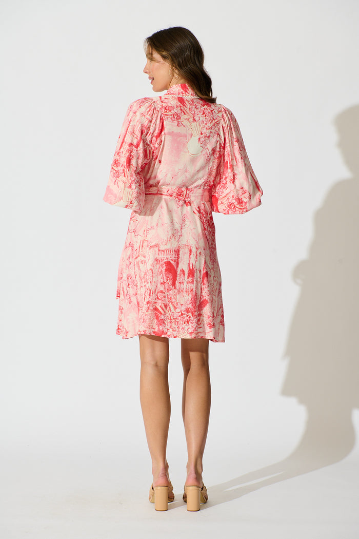 Laverna Shirt Dress in Multi Pink Print back