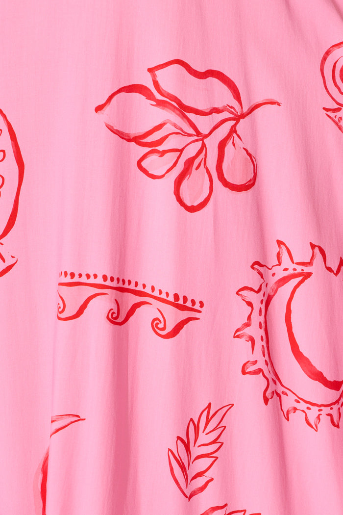 Ciniza Maxi Dress in Pink with Red Print fabric