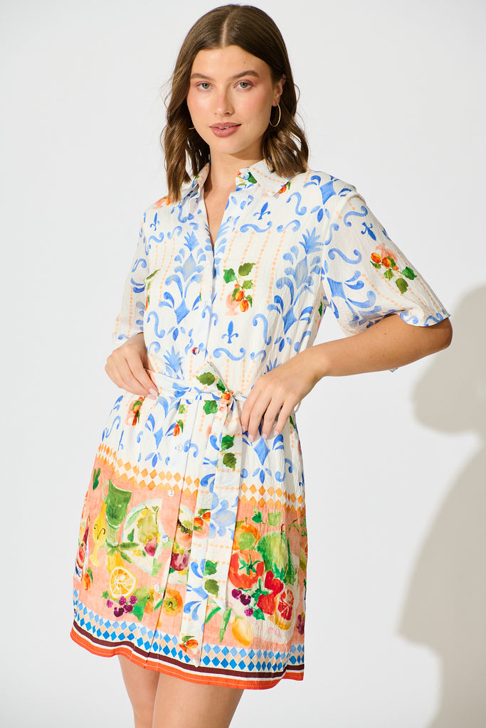 Miela Shirt Dress in Multi Fruit Border Print front