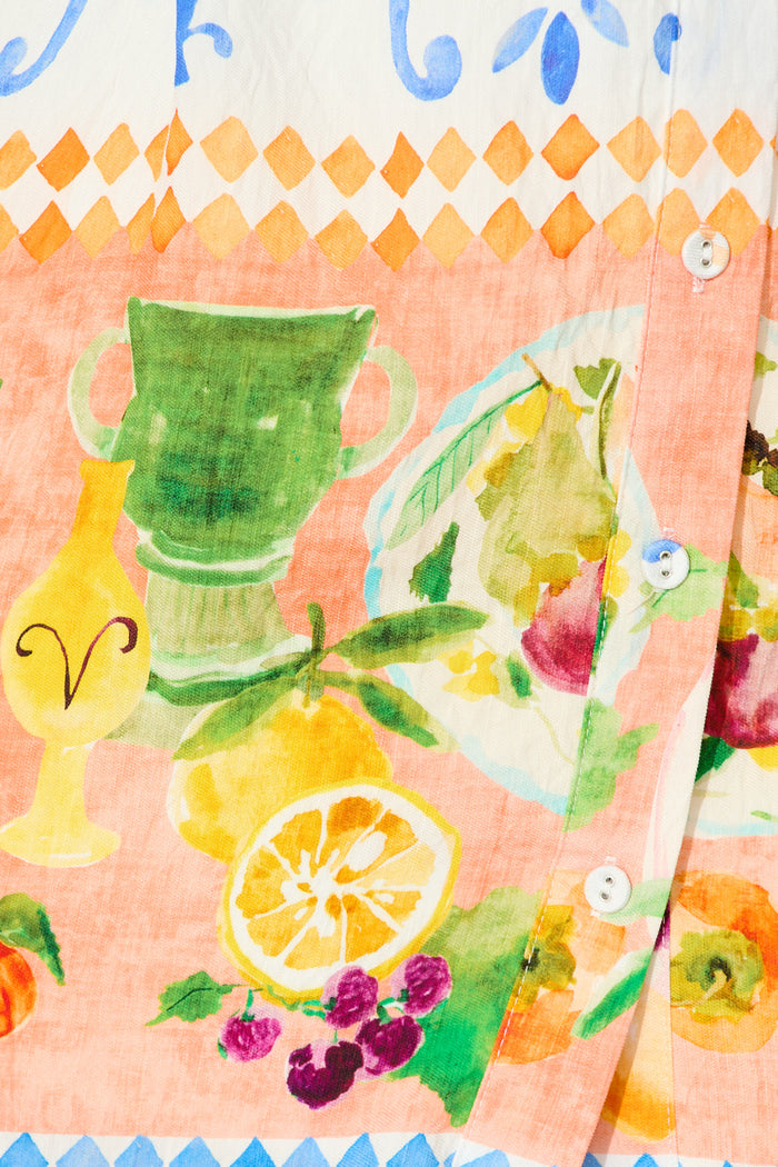 Miela Shirt Dress in Multi Fruit Border Print fabric
