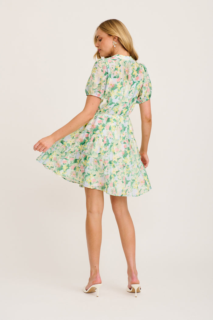 Valley Dress in Green Multi Print back