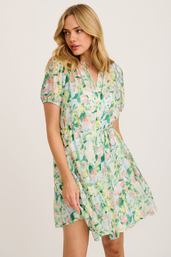 Valley Dress in Green Multi Print front