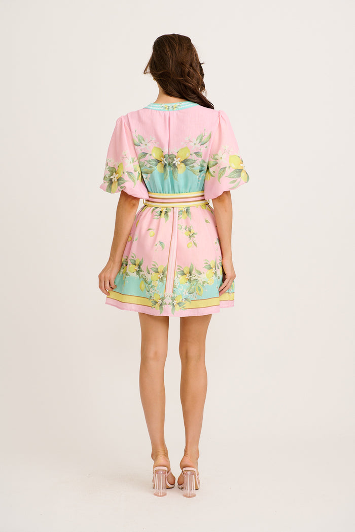 Limonelle Dress in Pink with Lemon Linen Blend back