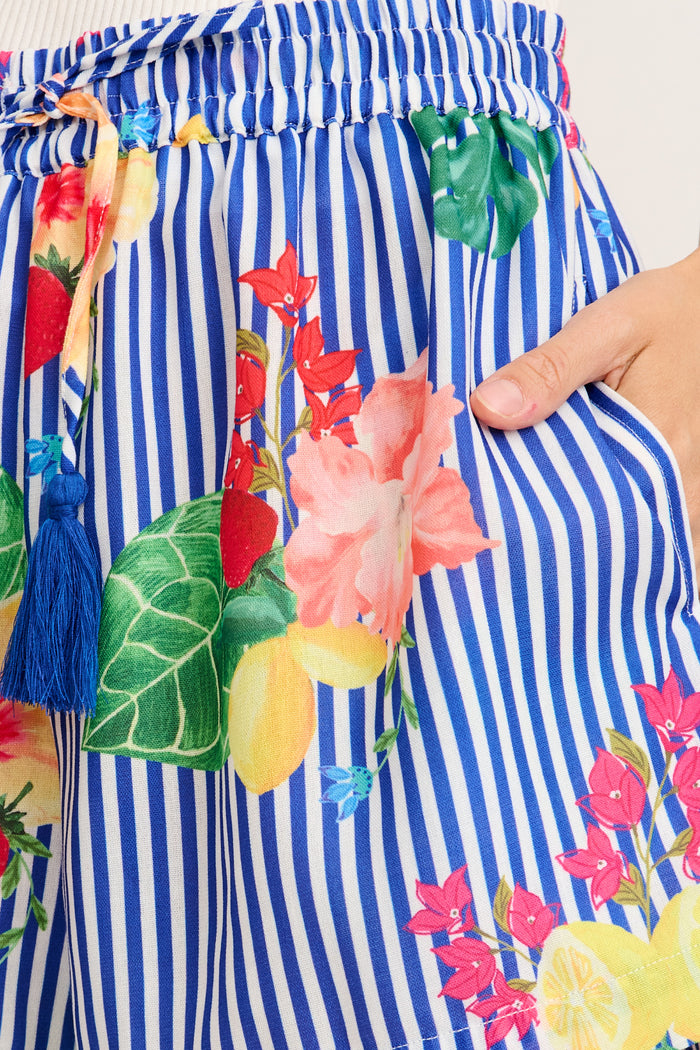 Rosela Short in Blue Stripe Print detail