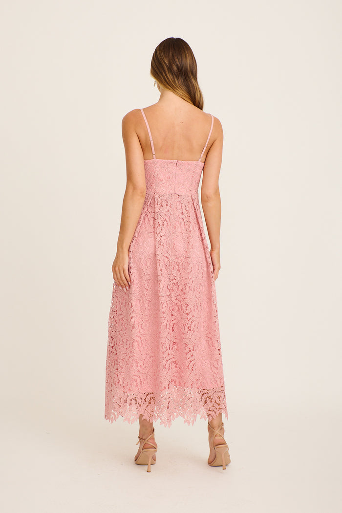 Something Special Maxi Lace Dress in Blush back