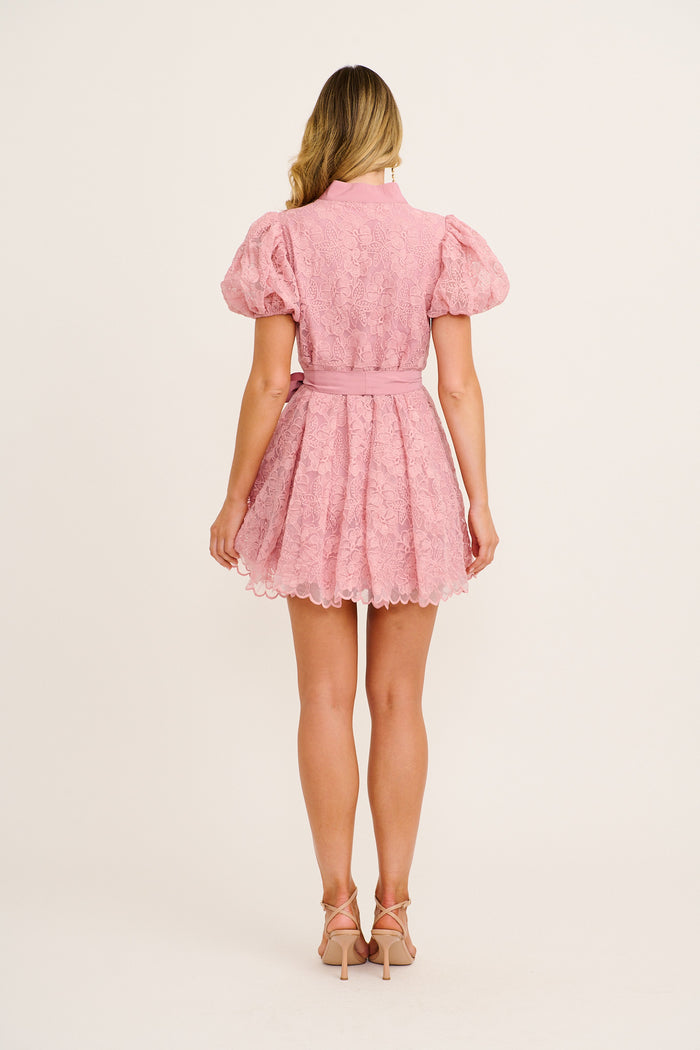 Couture Dreams Dress in Dusty Pink Lace back