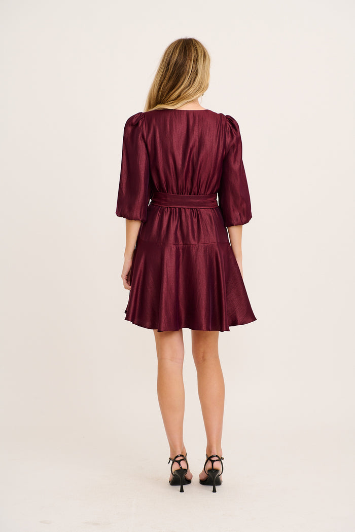 Rose Twirl Dress in Wine back