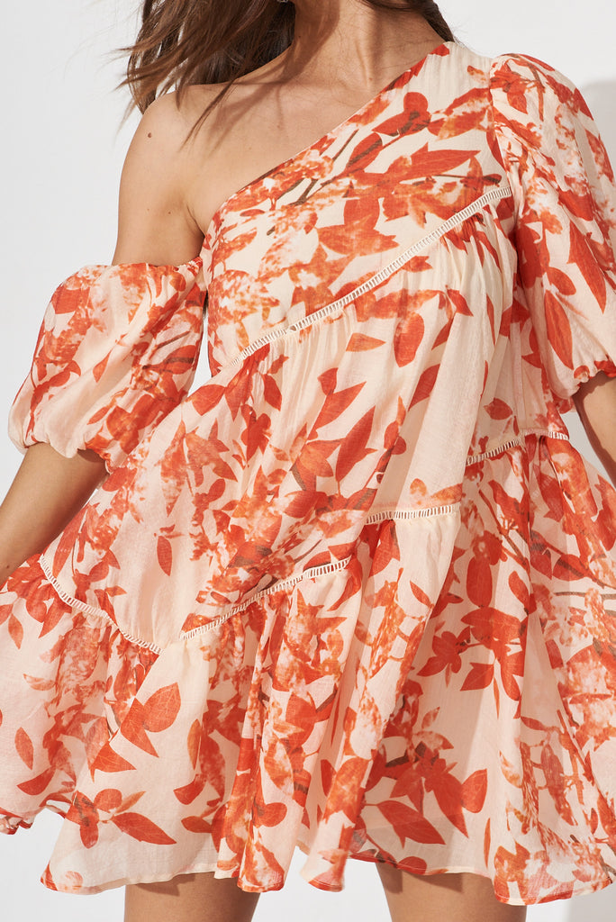 Junya Dress In Blush With Red Floral - detail