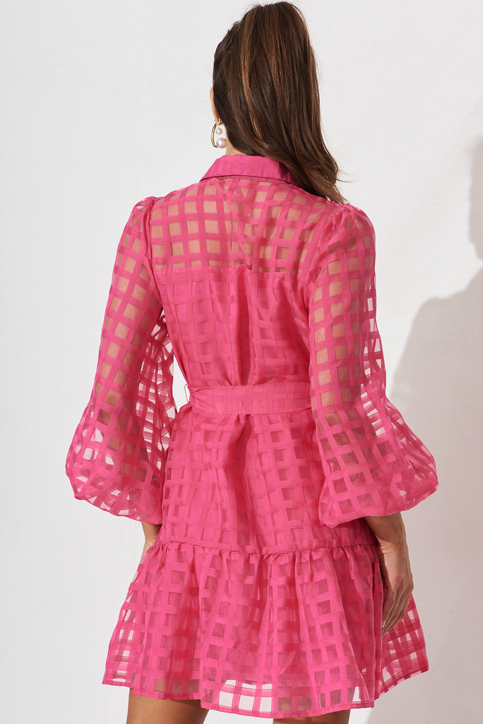 Giulia Shirt Dress In Hot Pink - back